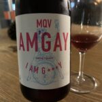 Am’Gay 2020 / MQV