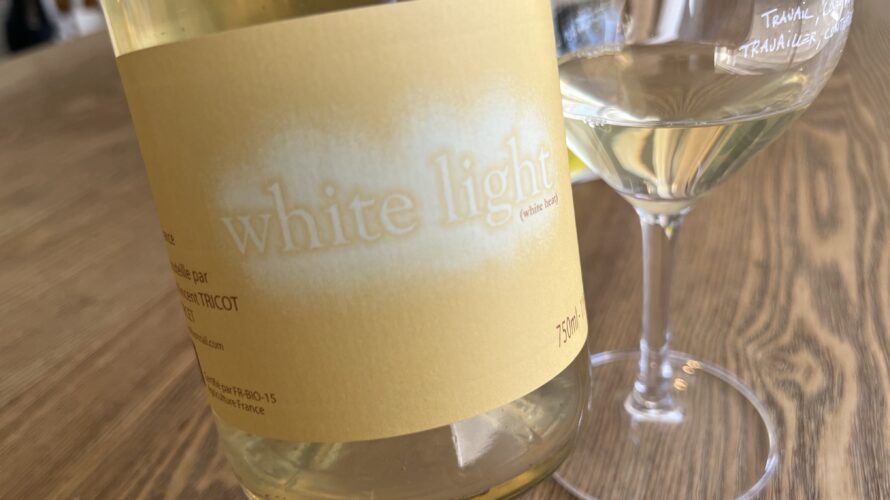 White Light 2021/ Vincent Tricot